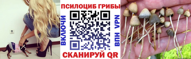 Псилоцибиновые грибы MAGIC MUSHROOMS Богородицк